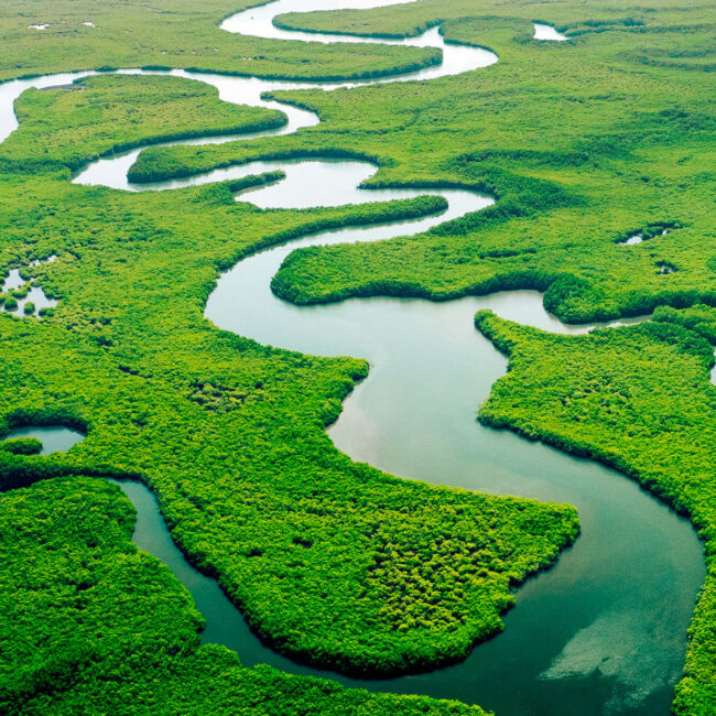 Rennó e Machado Advogados Associados - Atuação: Direito Ambiental