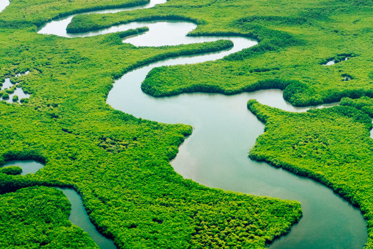 Rennó e Machado Advogados Associados - Atuação: Direito Ambiental