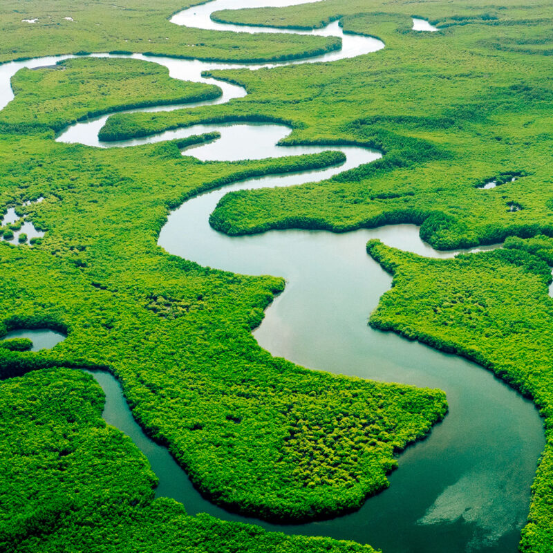 Rennó e Machado Advogados Associados - Atuação: Direito Ambiental